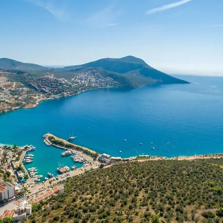 Kaktus * Kalkan